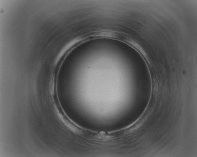 X0000086281131200704051328