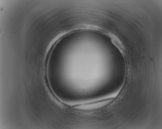 X0000086281136200704051328