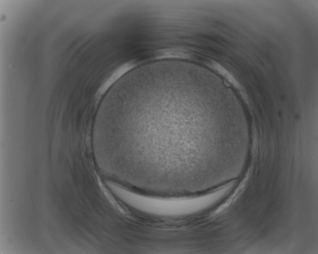 X0000086281137200704051328