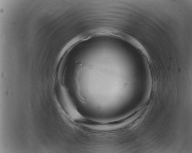 X0000086281146200704051328