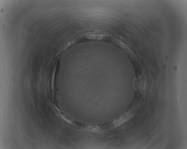 X0000086281154200704051328