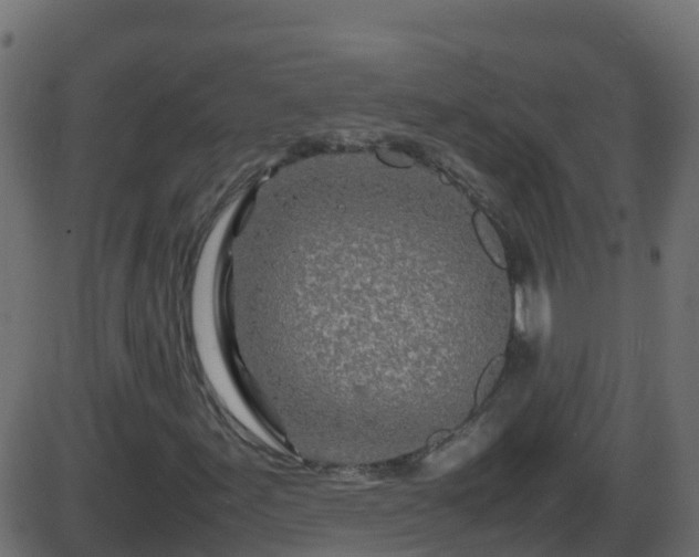 X0000086281155200704051328