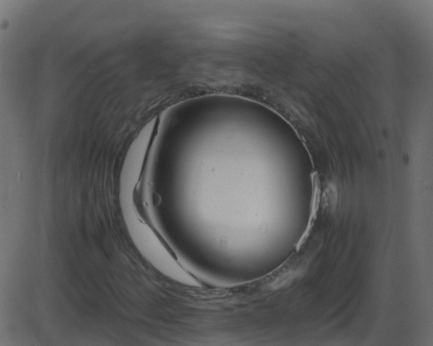 X0000086281156200704051328