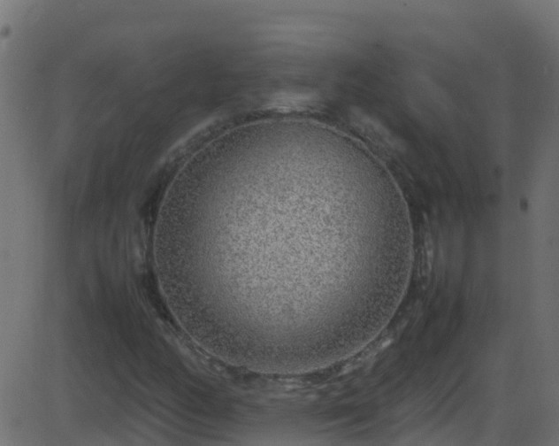 X0000086281158200704051327