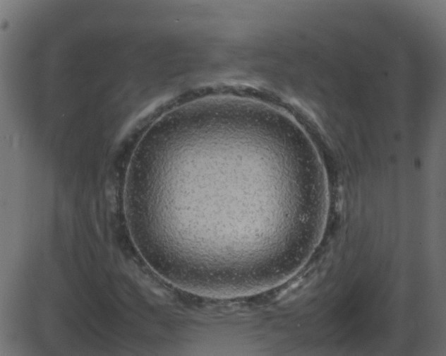 X0000086281159200704051327