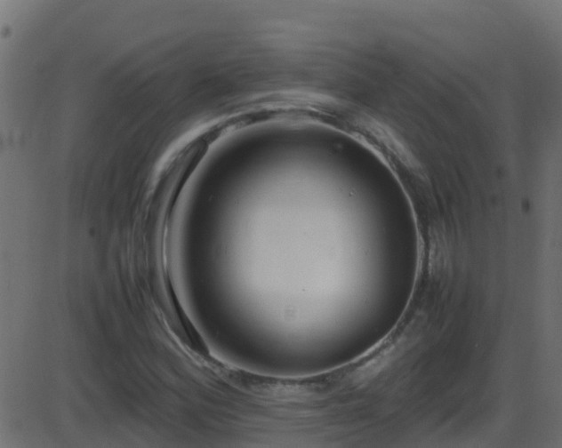 X0000086281164200704051327
