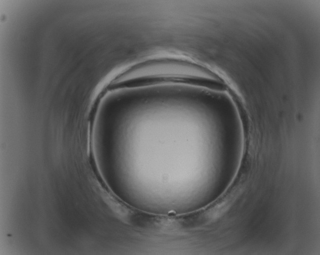 X0000086281175200704051327