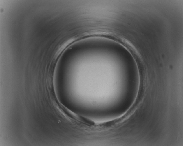 X0000086281177200704051327