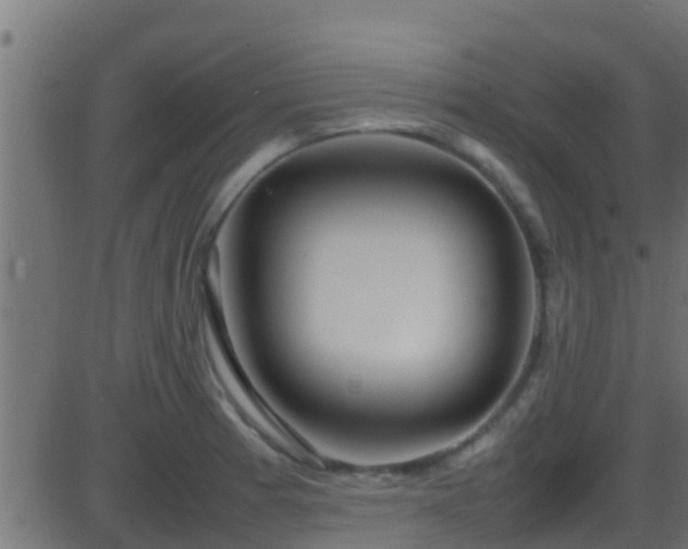 X0000086281185200704051327