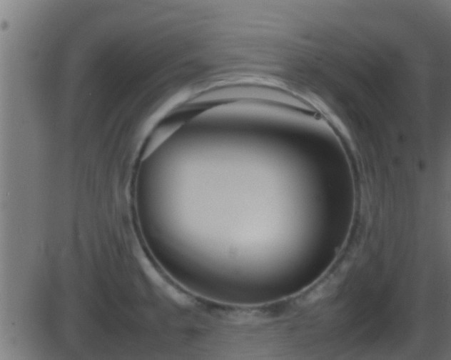 X0000086281189200704051327