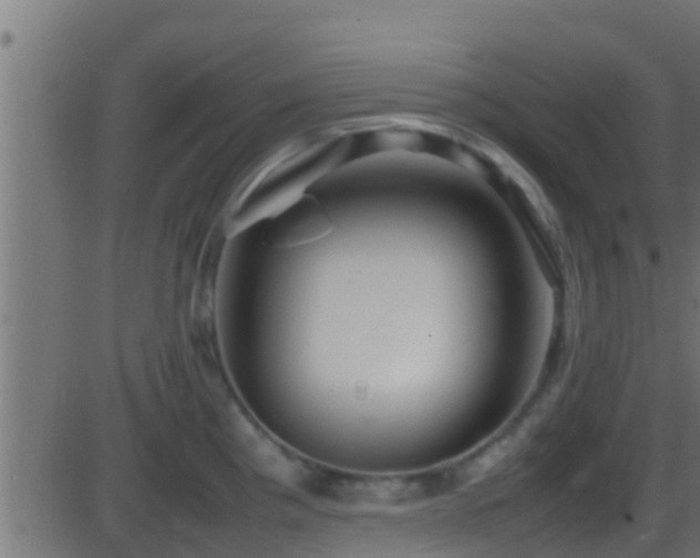 X0000086281193200704051327