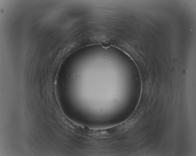 X0000086281201200704051326