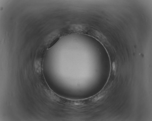 X0000086281203200704051326