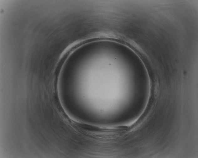 X0000086281222200704051326
