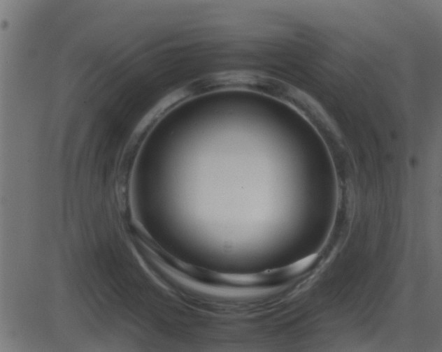 X0000086281225200704051326