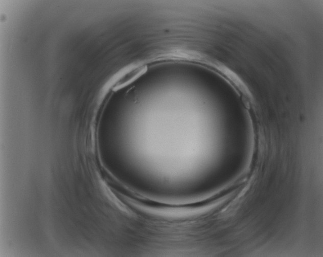 X0000086281238200704051327