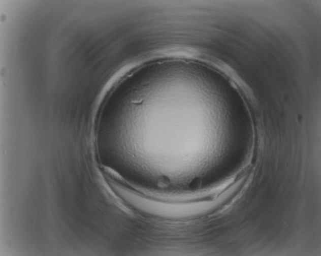 X0000086281240200704051327