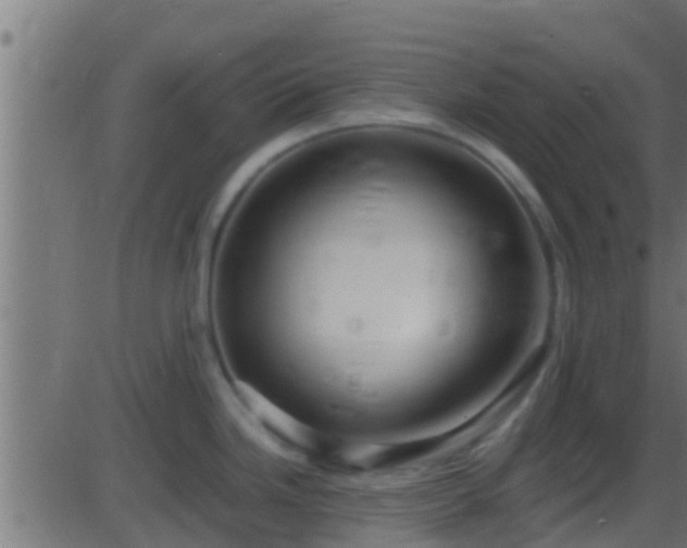 X0000086281246200704051327