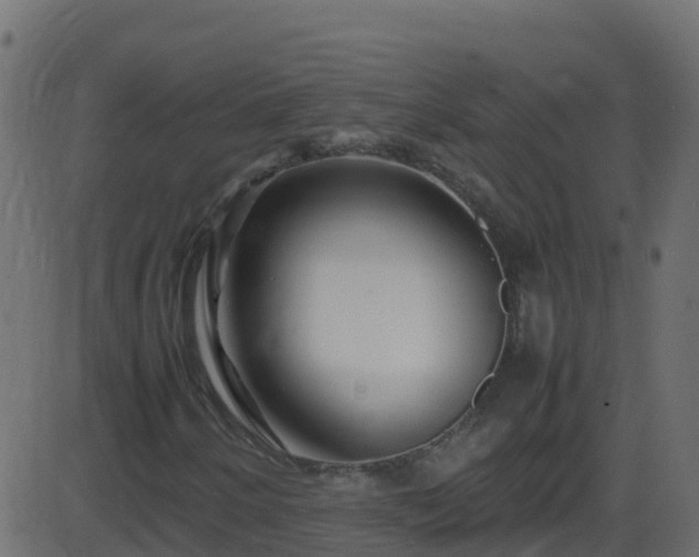 X0000086281250200704051326