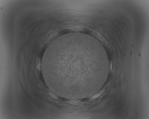 X0000086281251200704051326