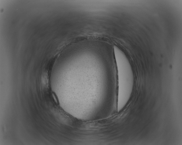 X0000086281252200704051326