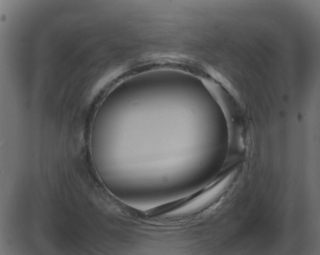 X0000086281261200704051326