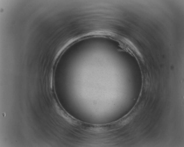 X0000086281276200704051326