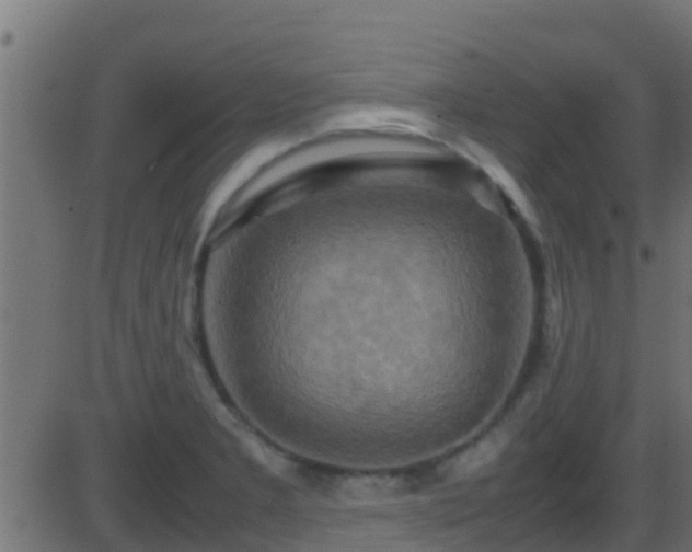 X0000086281277200704051325