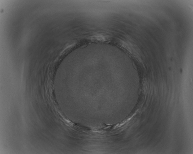 X0000086281297200704051324