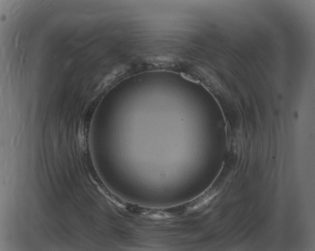 X0000086281298200704051324