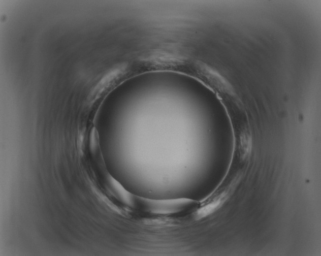 X0000086281300200704051324