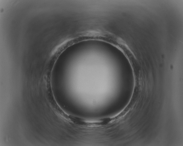 X0000086281304200704051324