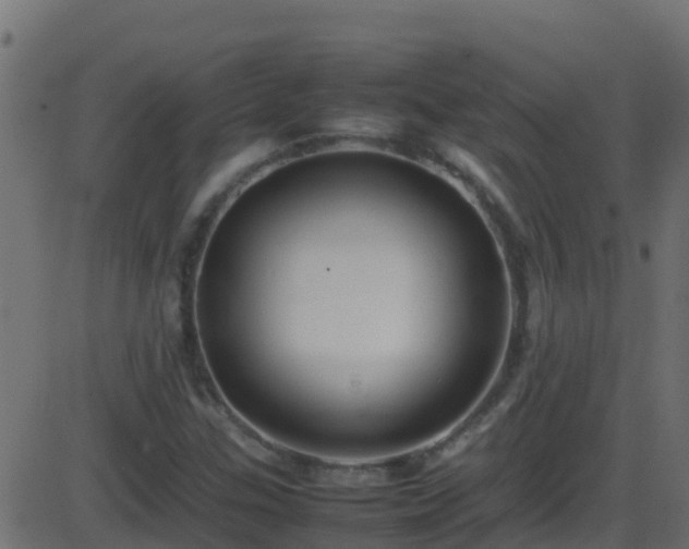 X0000086281307200704051325