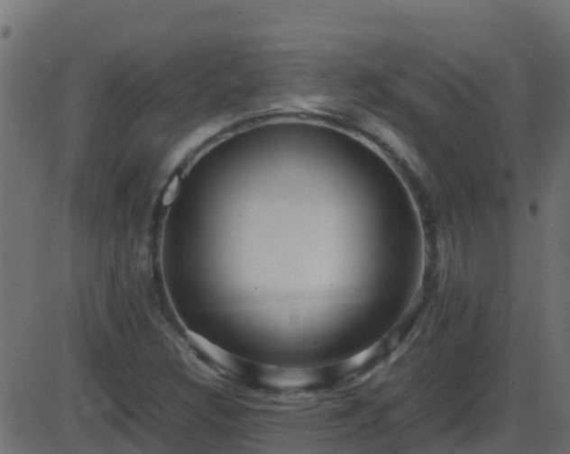 X0000086281308200704051325