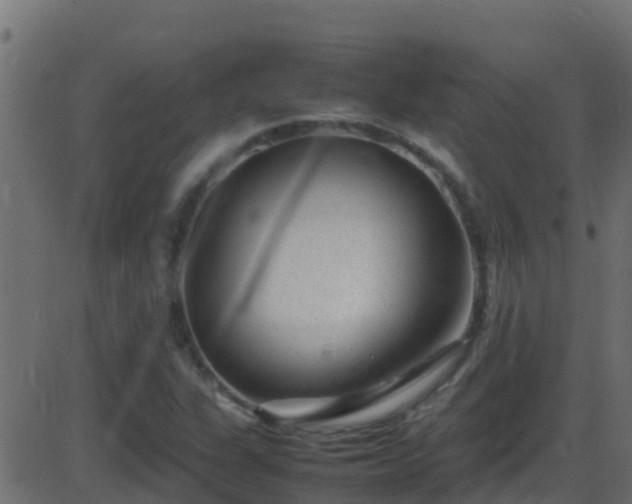 X0000086281311200704051325