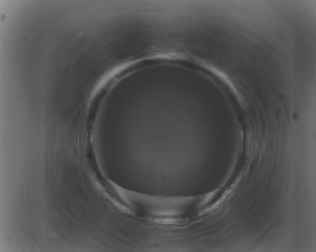 X0000086281319200704051325