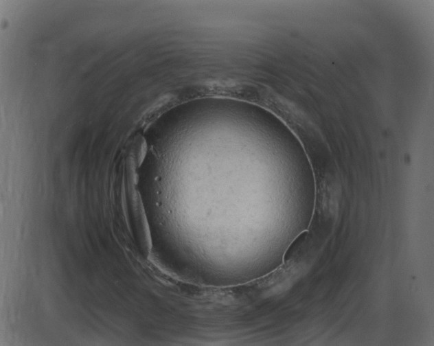 X0000086281346200704051324