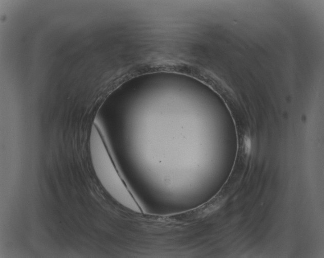 X0000086281348200704051324