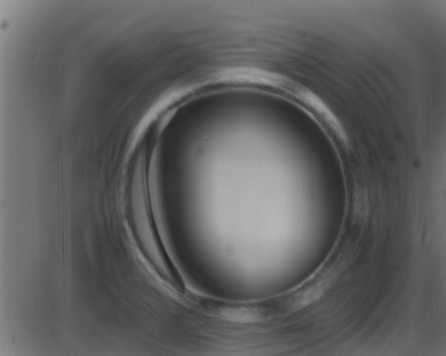 X0000086281376200704051324