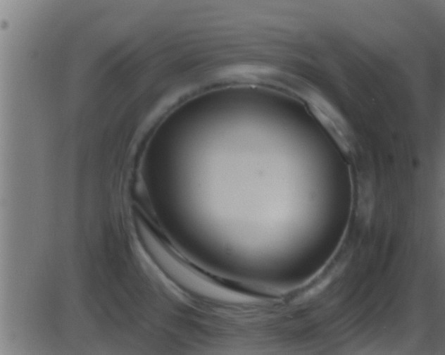 X0000086281384200704051324