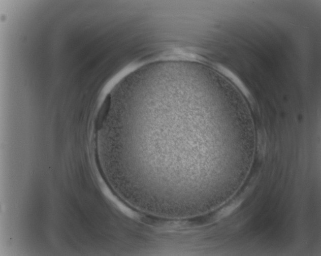 X0000086281387200704051324