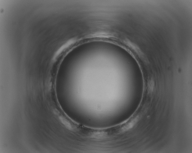 X0000086281406200704051323
