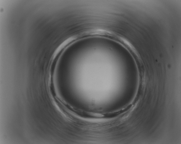X0000086281418200704051323