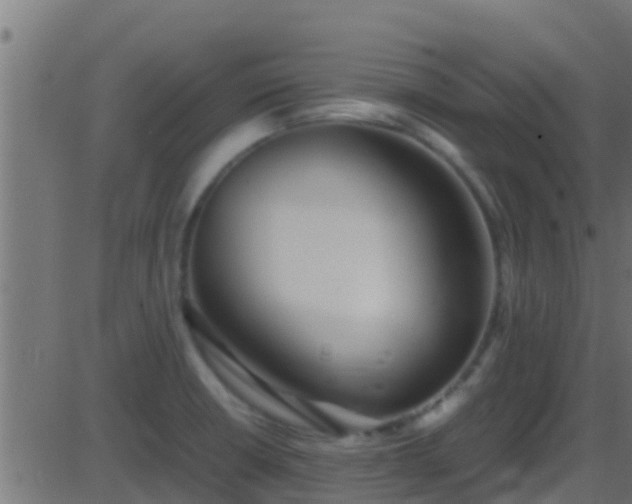 X0000086281426200704051323