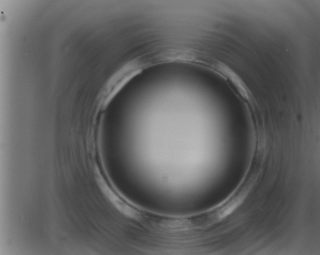 X0000086281434200704051323