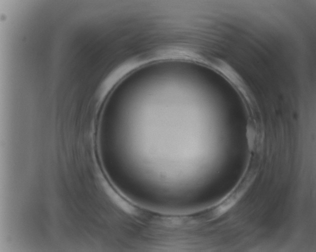 X0000086281438200704051324