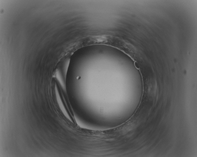 X0000086281442200704051323
