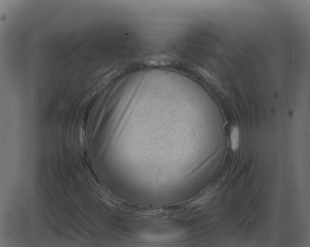 X0000086281444200704051323