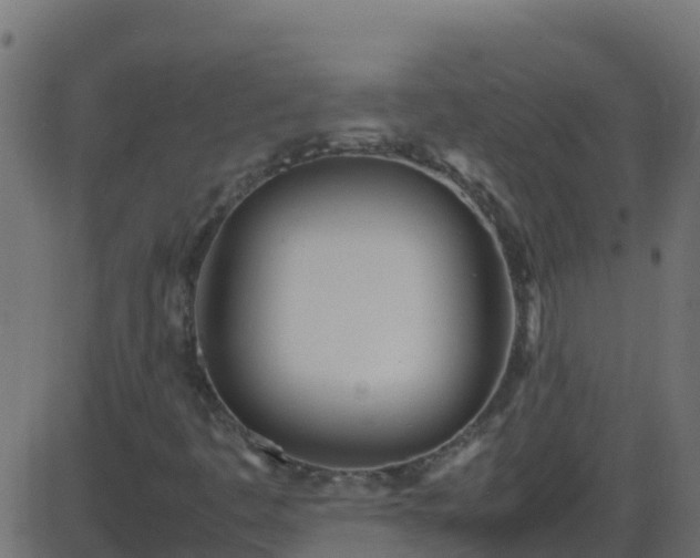 X0000086281445200704051323