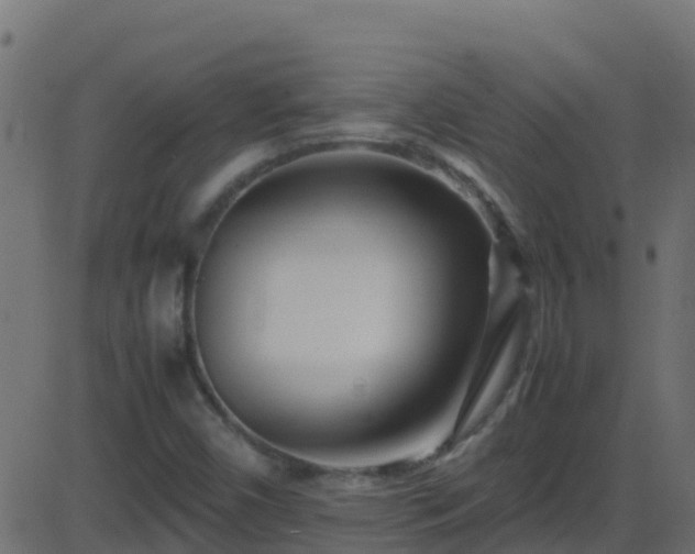 X0000086281450200704051323